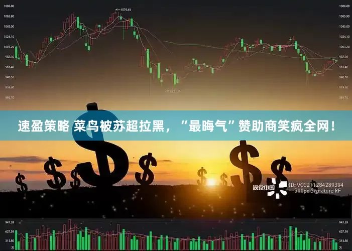 速盈策略 菜鸟被苏超拉黑，“最晦气”赞助商笑疯全网！