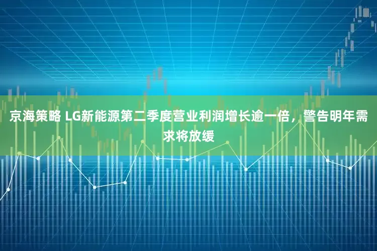 京海策略 LG新能源第二季度营业利润增长逾一倍，警告明年需求将放缓