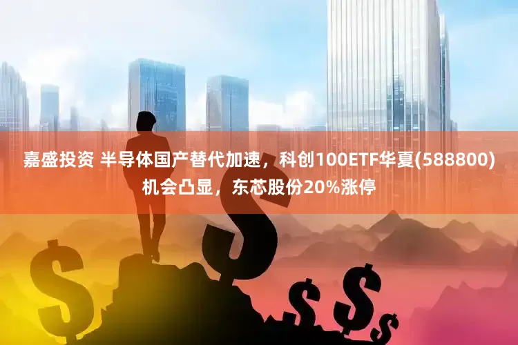 嘉盛投资 半导体国产替代加速，科创100ETF华夏(588800)机会凸显，东芯股份20%涨停