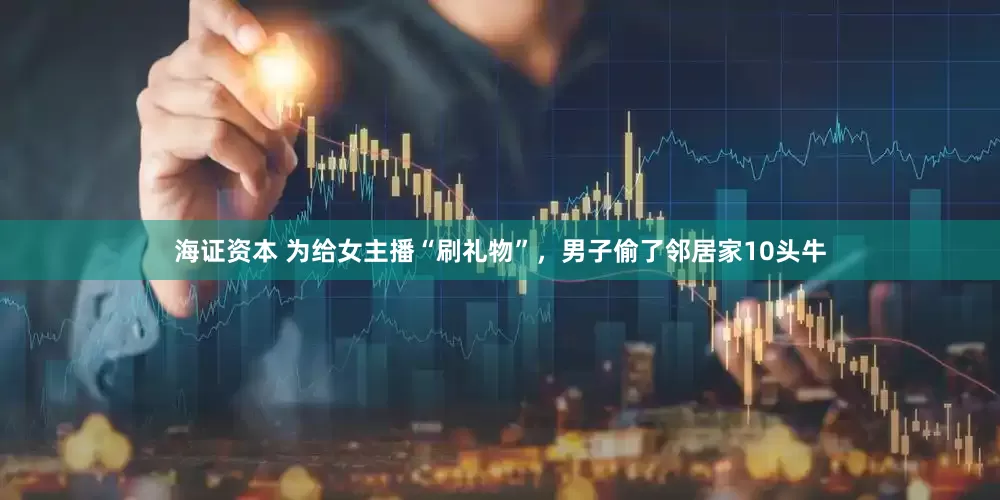 海证资本 为给女主播“刷礼物”，男子偷了邻居家10头牛