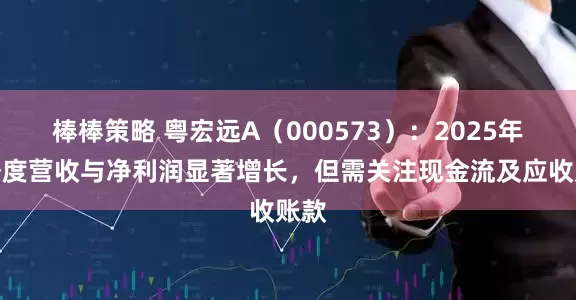 棒棒策略 粤宏远A（000573）：2025年一季度营收与净利润显著增长，但需关注现金流及应收账款