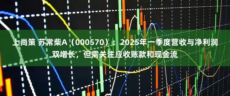 上尚策 苏常柴A（000570）：2025年一季度营收与净利润双增长，但需关注应收账款和现金流
