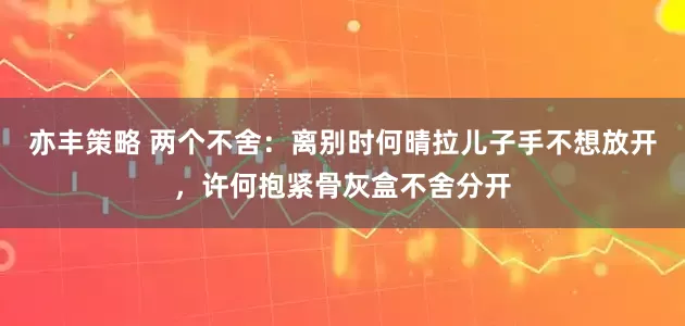 亦丰策略 两个不舍：离别时何晴拉儿子手不想放开，许何抱紧骨灰盒不舍分开