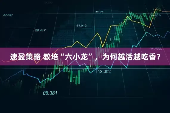 速盈策略 教培“六小龙”，为何越活越吃香？